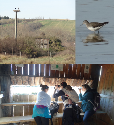 Sortie au domaine des OISEAUX